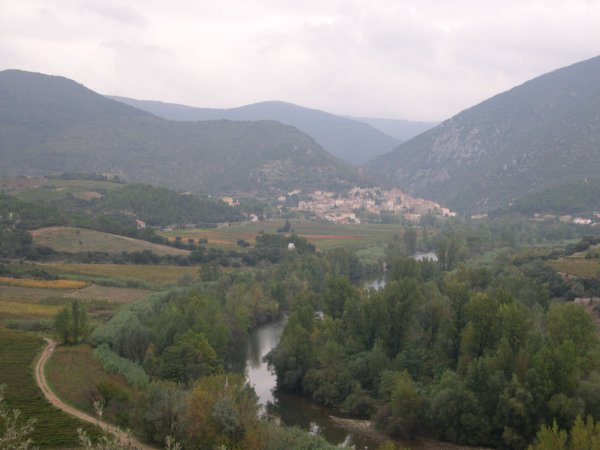 Analyse et Modélisation Intégrée (« Farm- centered ») des Systèmes Agricoles