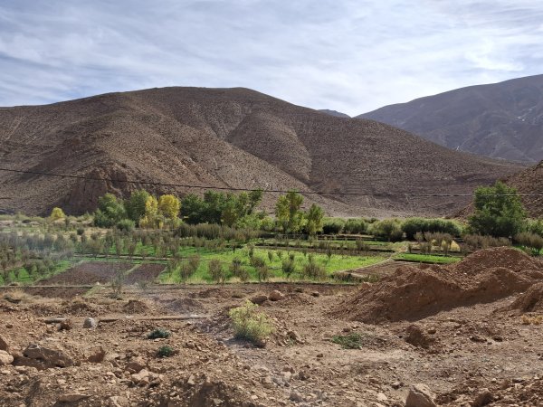 Memento d'Agronomie Systémique