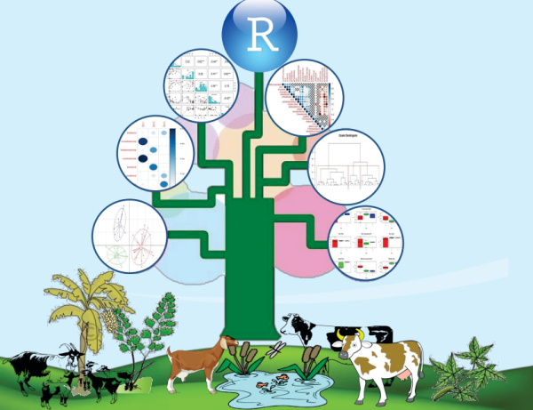 Researchers’ Manual for Quantitative Farming Systems Typologies Applications using the R Statistical Tool