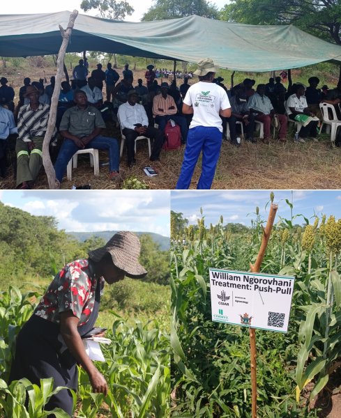 Supporting the Codesign of Agronomic Innovations with Data