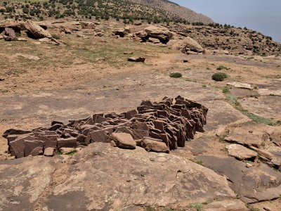 Timenkar_2025_8.jpg