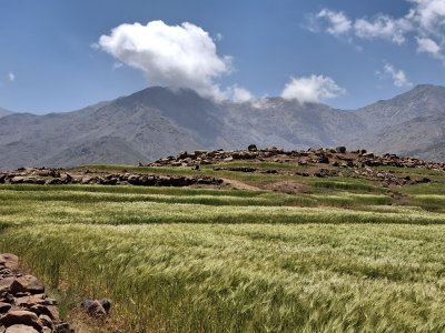 Timenkar_2025_May_2.jpg