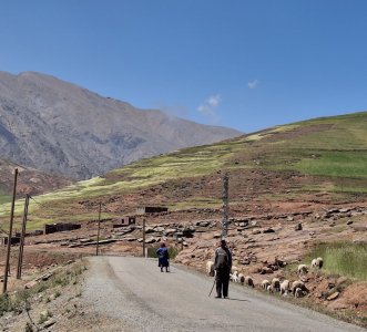 Timenkar_2025_7.jpg