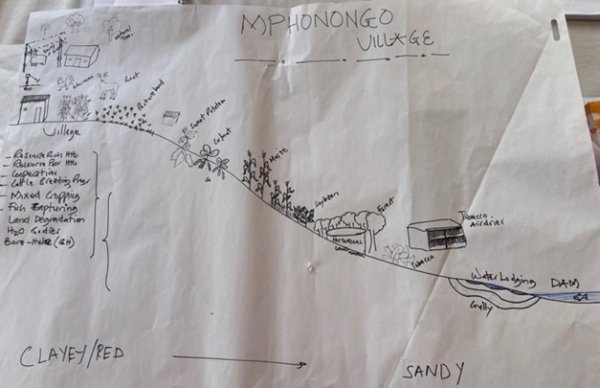 Transect walks